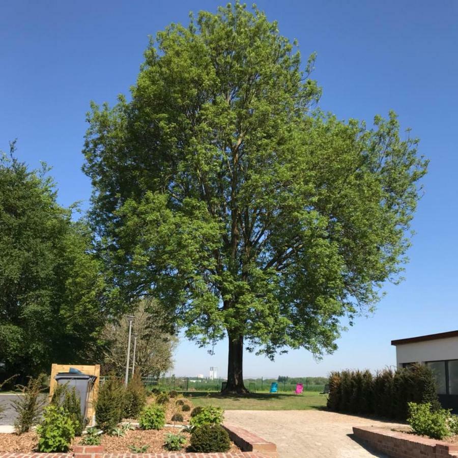 Gites Du Frene Wattignies Bagian luar foto